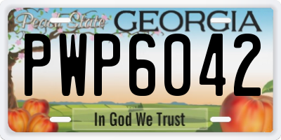 GA license plate PWP6042