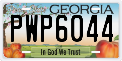 GA license plate PWP6044