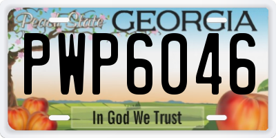GA license plate PWP6046