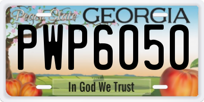 GA license plate PWP6050