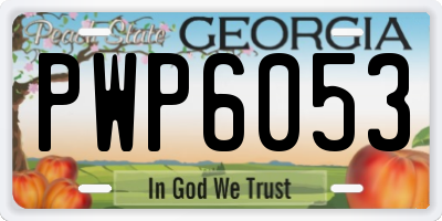 GA license plate PWP6053