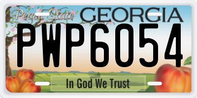 GA license plate PWP6054