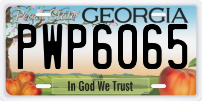 GA license plate PWP6065