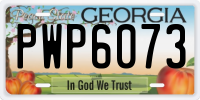GA license plate PWP6073