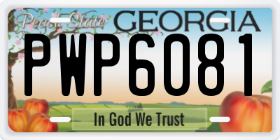GA license plate PWP6081