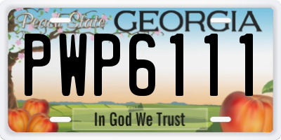 GA license plate PWP6111