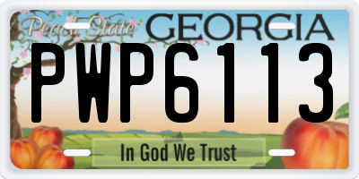 GA license plate PWP6113