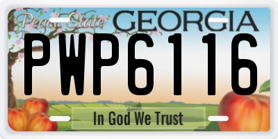 GA license plate PWP6116