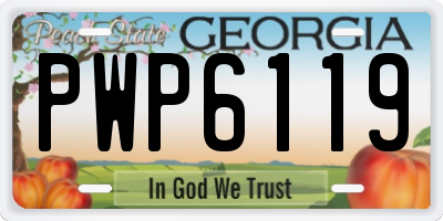 GA license plate PWP6119