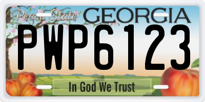 GA license plate PWP6123