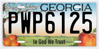 GA license plate PWP6125