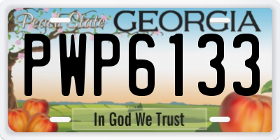 GA license plate PWP6133