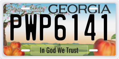 GA license plate PWP6141