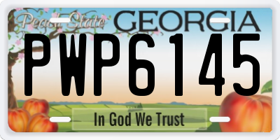 GA license plate PWP6145