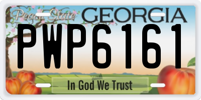 GA license plate PWP6161