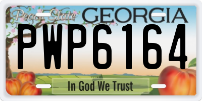 GA license plate PWP6164