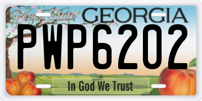 GA license plate PWP6202