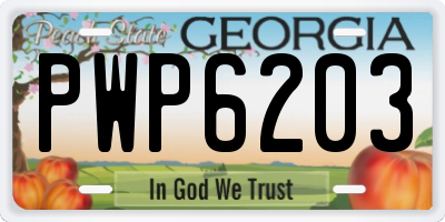GA license plate PWP6203