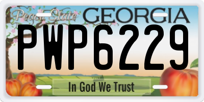GA license plate PWP6229