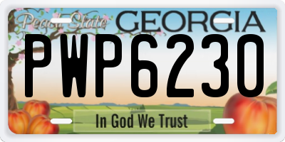 GA license plate PWP6230