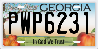 GA license plate PWP6231