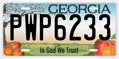 GA license plate PWP6233