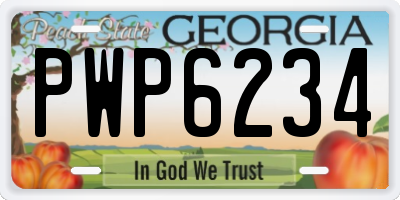 GA license plate PWP6234