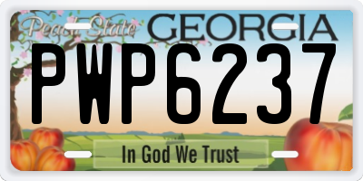 GA license plate PWP6237