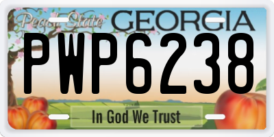 GA license plate PWP6238