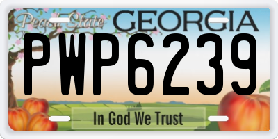 GA license plate PWP6239