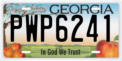 GA license plate PWP6241
