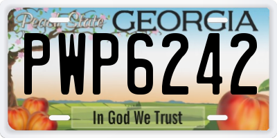 GA license plate PWP6242