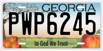 GA license plate PWP6245