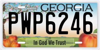 GA license plate PWP6246