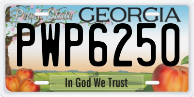 GA license plate PWP6250