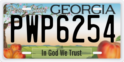 GA license plate PWP6254