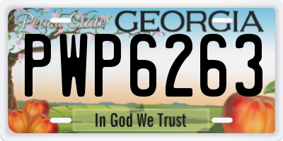 GA license plate PWP6263