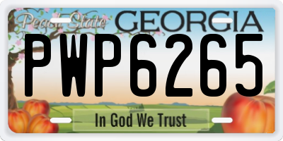 GA license plate PWP6265