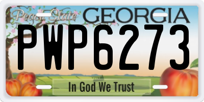 GA license plate PWP6273