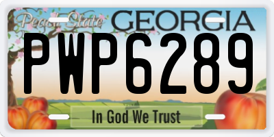 GA license plate PWP6289