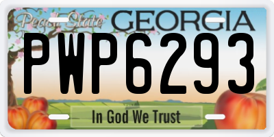 GA license plate PWP6293