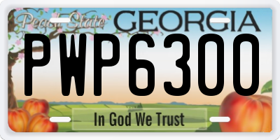 GA license plate PWP6300