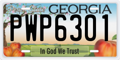 GA license plate PWP6301
