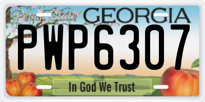 GA license plate PWP6307