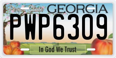 GA license plate PWP6309