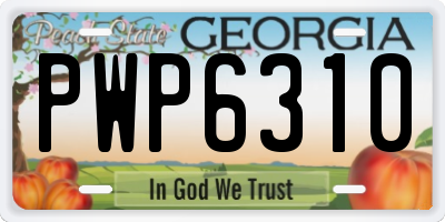 GA license plate PWP6310