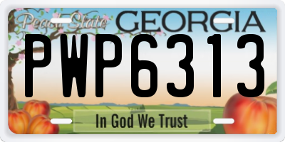 GA license plate PWP6313