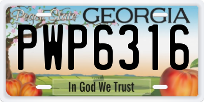 GA license plate PWP6316