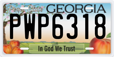 GA license plate PWP6318