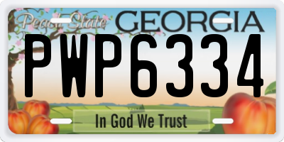 GA license plate PWP6334
